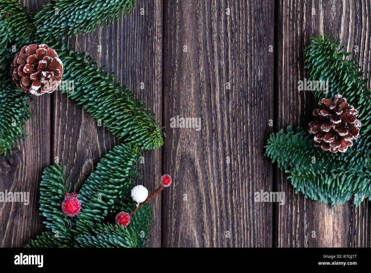 Photo frame tree branches hi-res stock photography and images - Alamy