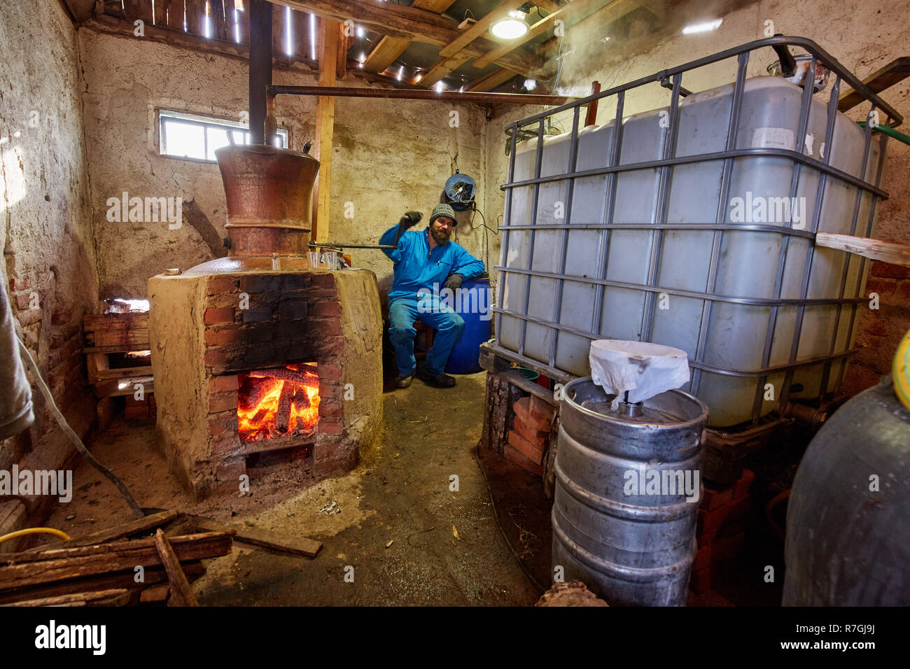 Man preparing plum brandy through boiling and condensation of fruits