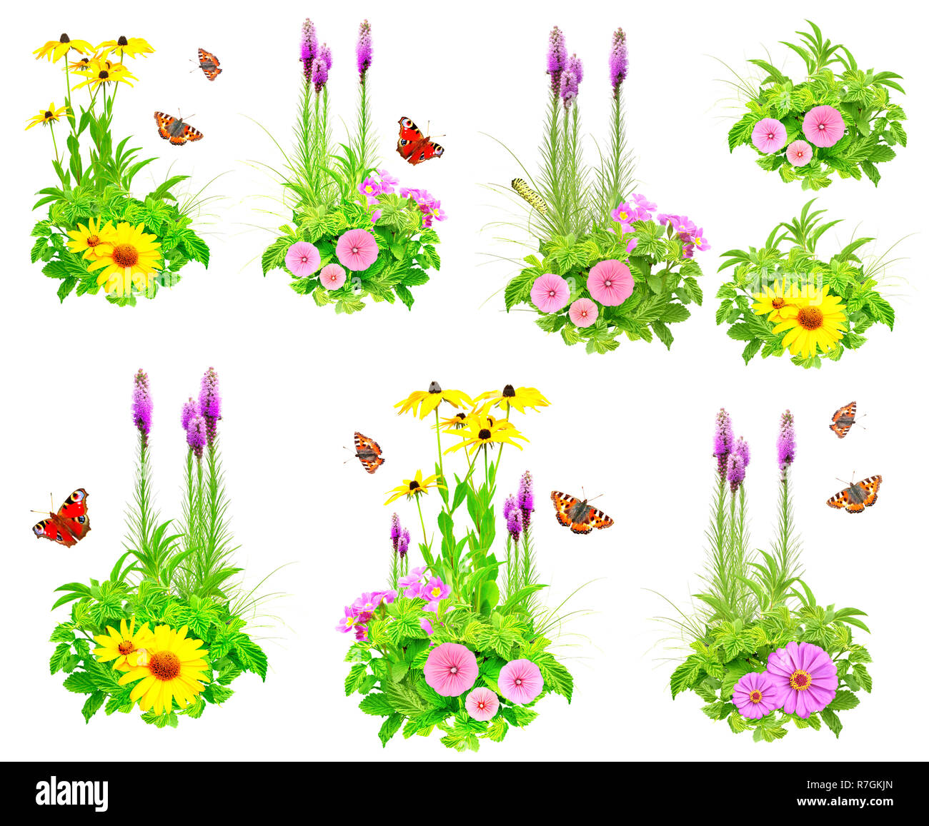 Collection of summer flowers, butterfly, caterpillar and green leaves ...