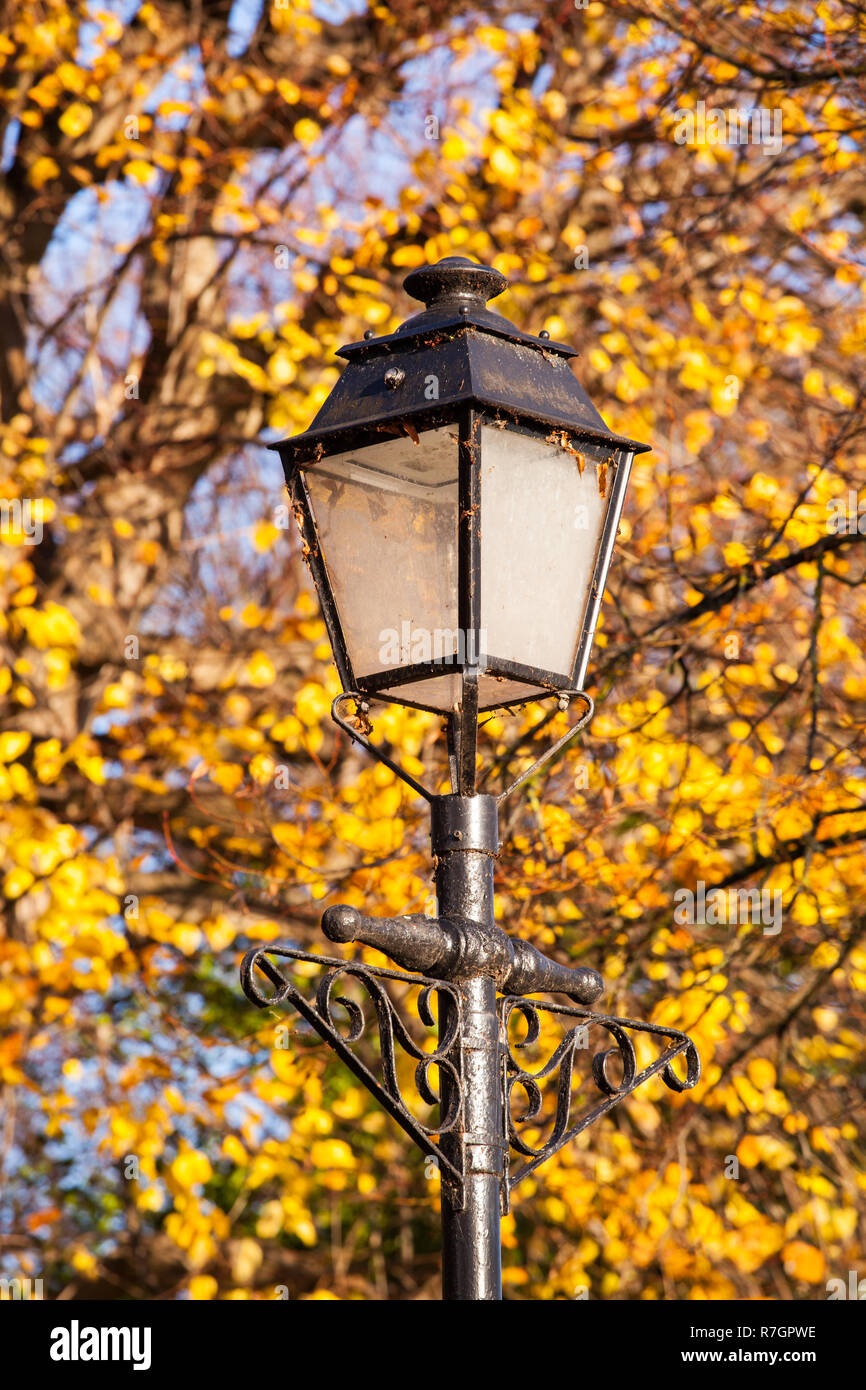 Old gaslight style street lamp against Autumn tree colours in the Cheshire city of Chester England UK Stock Photo