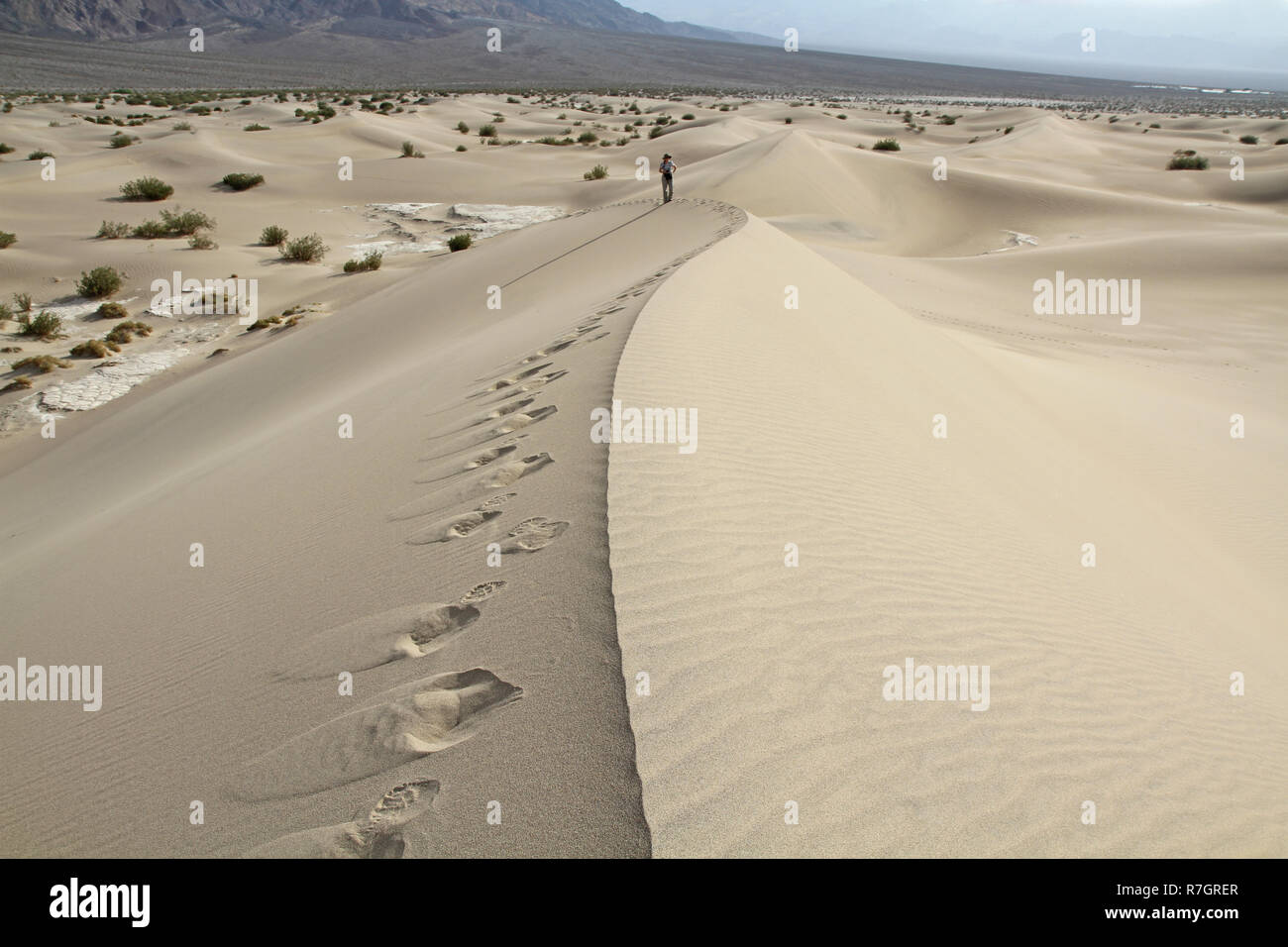 Human foot prints with human in distance along a sand dune crest Stock Photo