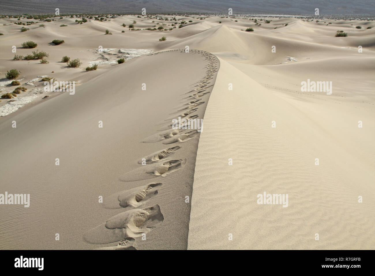 Sand dunes with human foot prints along a dune crest Stock Photo