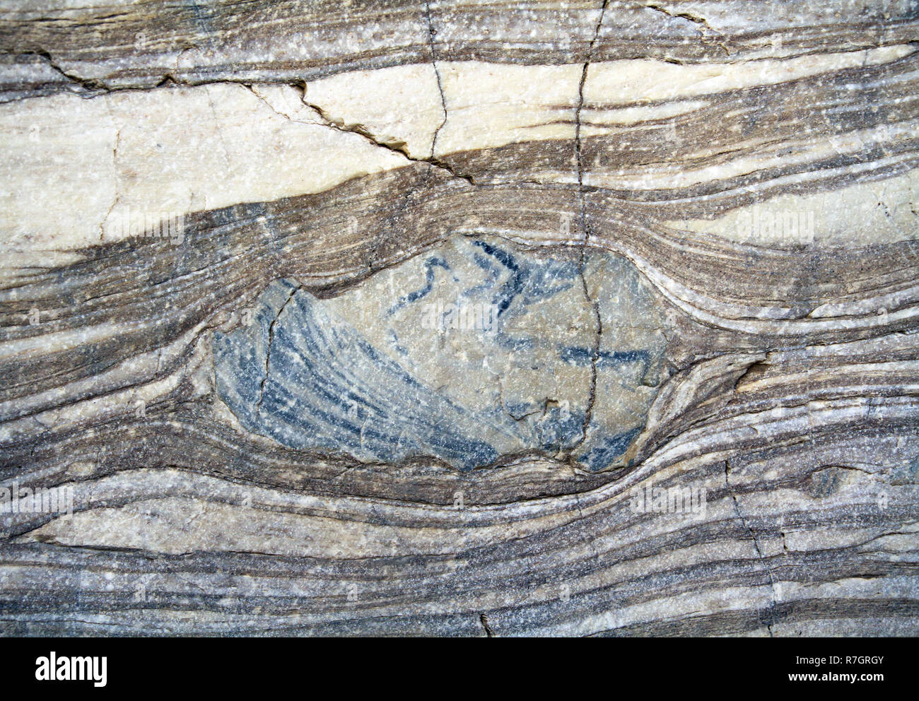 detail of concretion inside layered rock at Mosaic Canyon Stock Photo