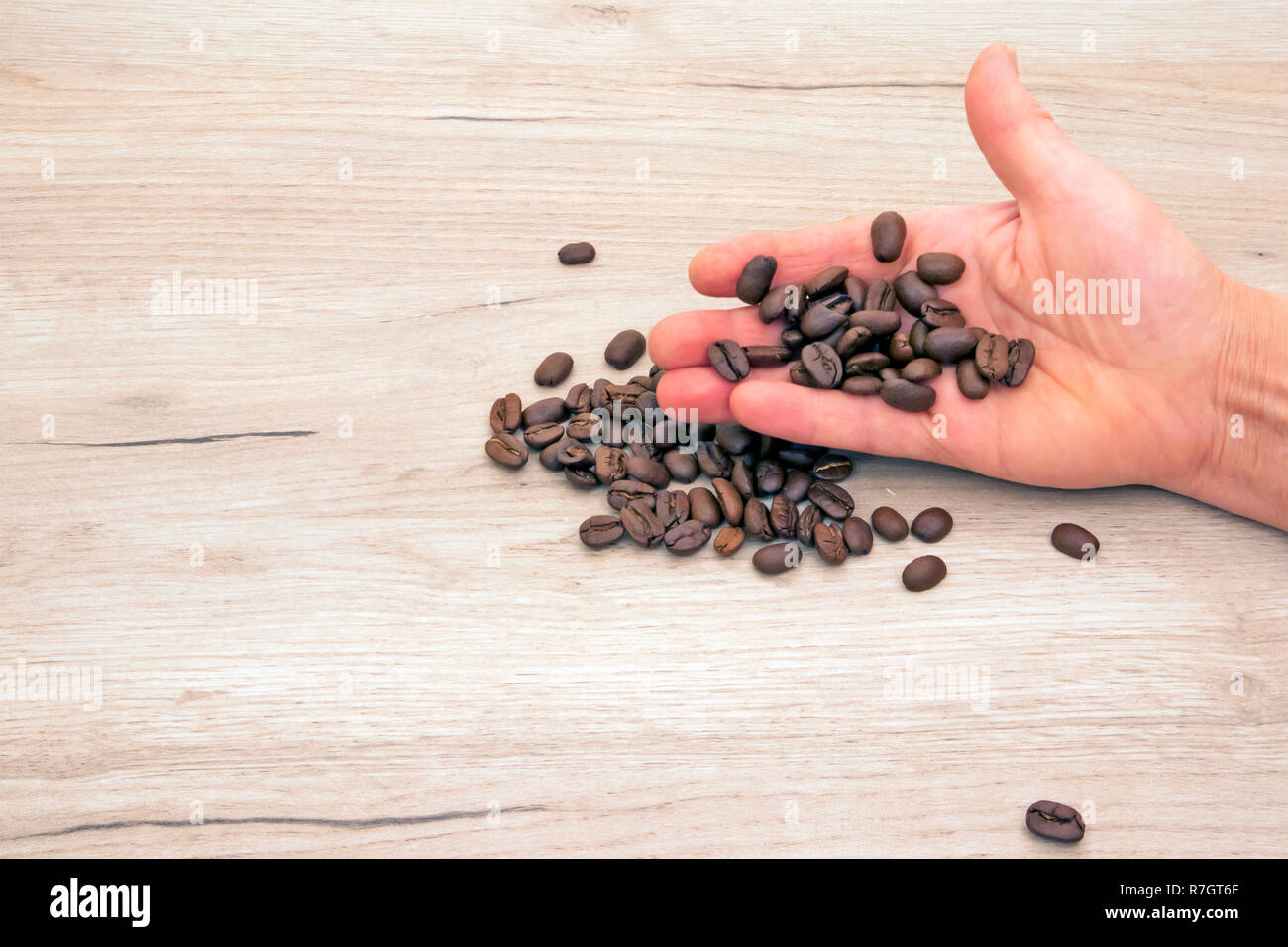 Human hand holding roasted coffee beans, other beans scattered on a wooden board Stock Photo