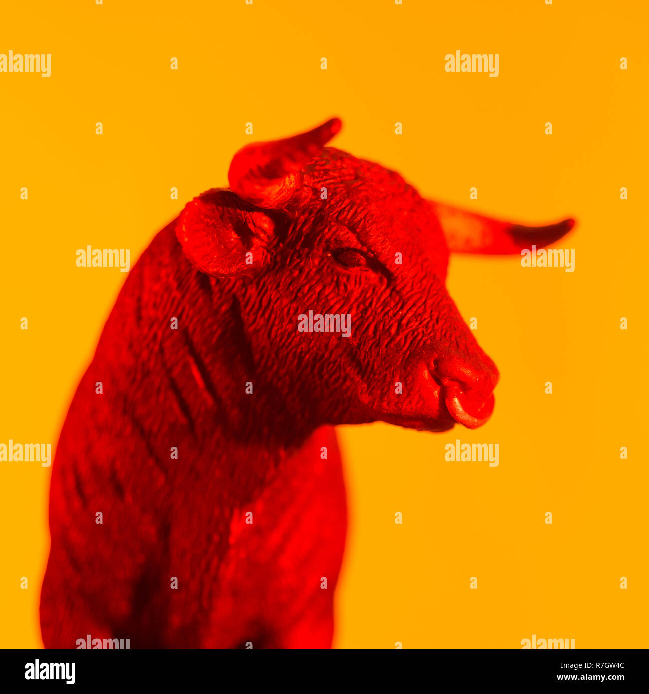 Toy bull against orange-yellow glowing sunset type backdrop. Metaphor for 'confidence' and Stock Market bulls, bullishness. See ADD. DETAILS NOTE Stock Photo