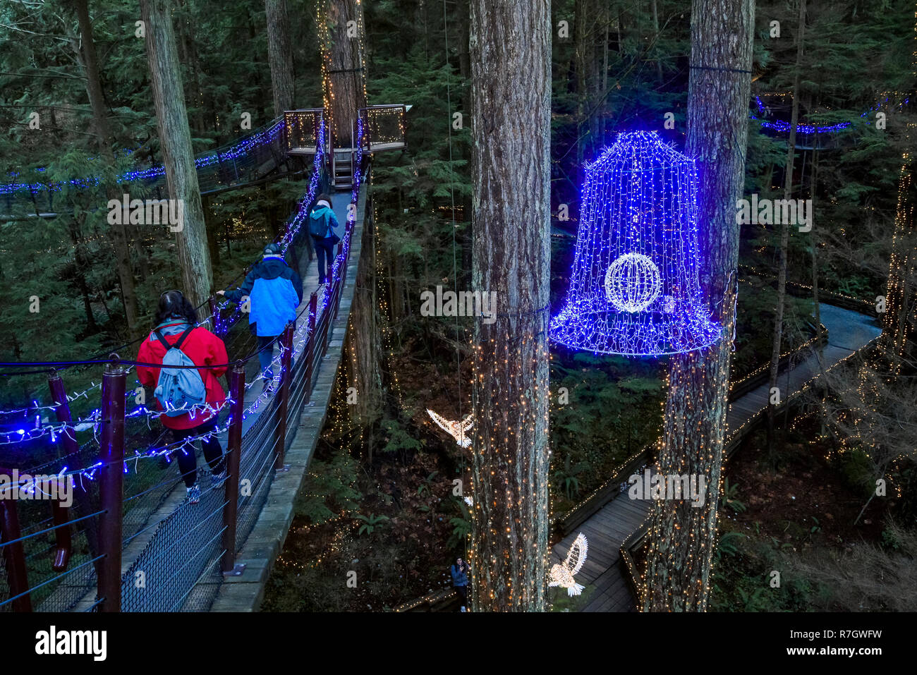 Treetops Adventure and Canyon Lights, Capilano Suspension Bridge Park, North Vancouver, British Columbia, Canada Stock Photo