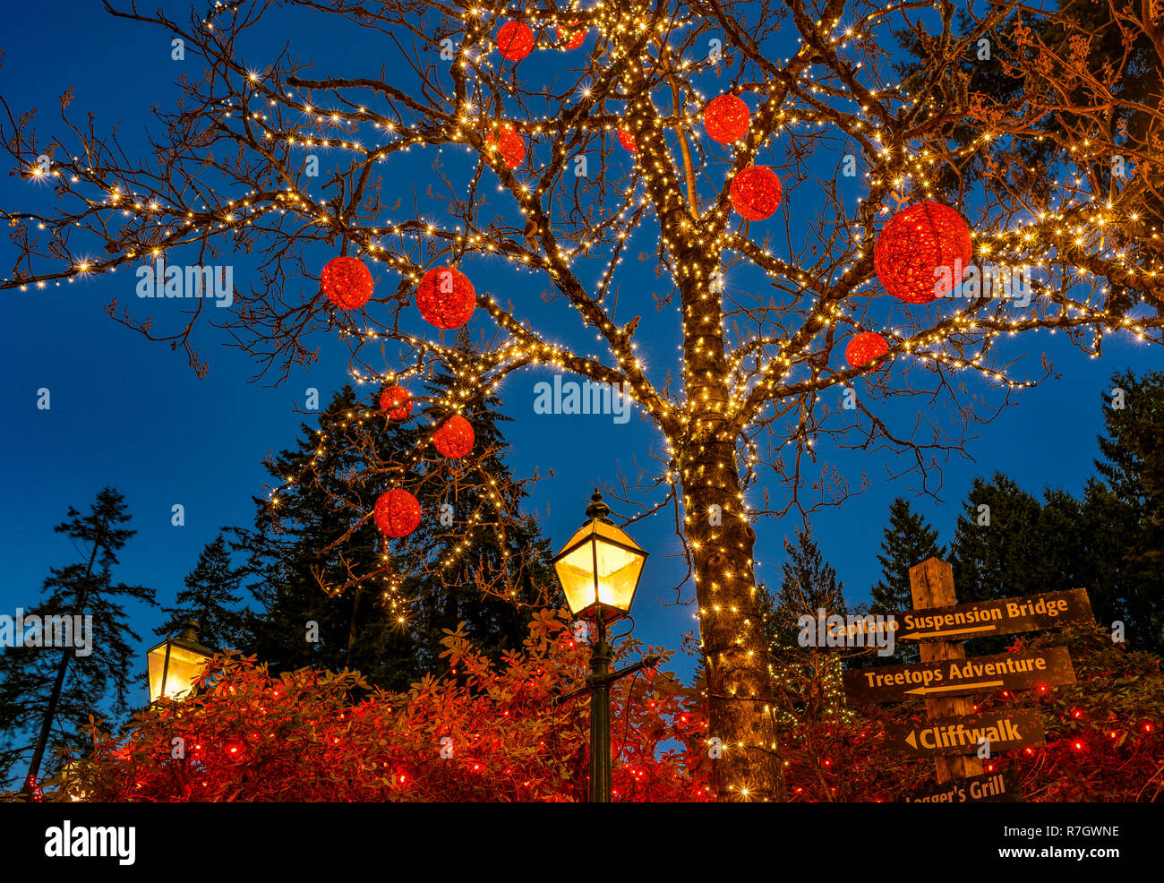 Christmas Canyon Lights, Capilano Suspension Bridge Park, North Vancouver, British Columbia, Canada Stock Photo