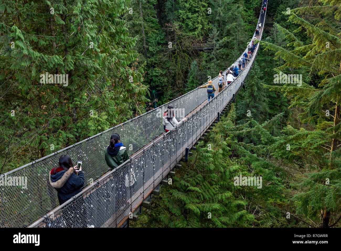 Capilano Suspension Bridge Park, North Vancouver, British Columbia, Canada Stock Photo Alamy