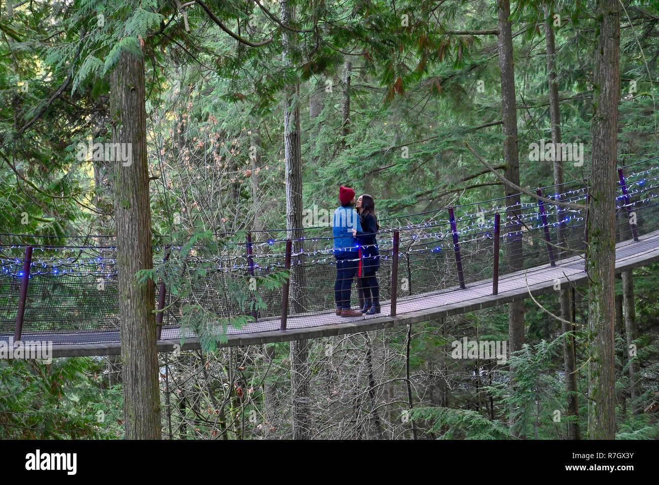 Couple being affectionate at Treetops Adventure and Canyon Lights, Capilano Suspension Bridge Park, North Vancouver, British Columbia, Canada Stock Photo