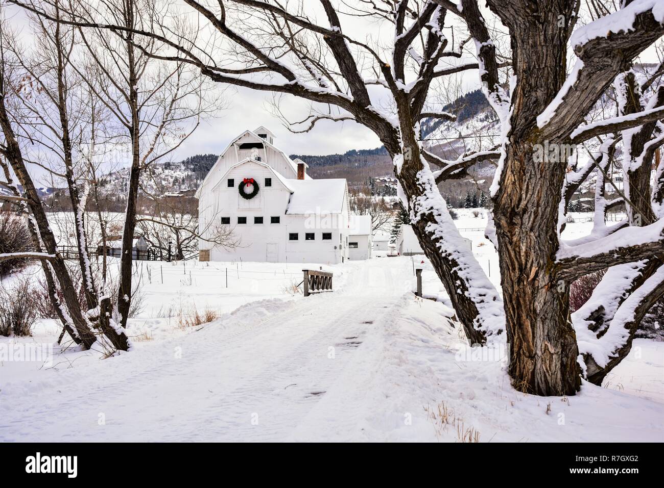 White dairy barn with Christmas wreath in a snowy meadow in Park City