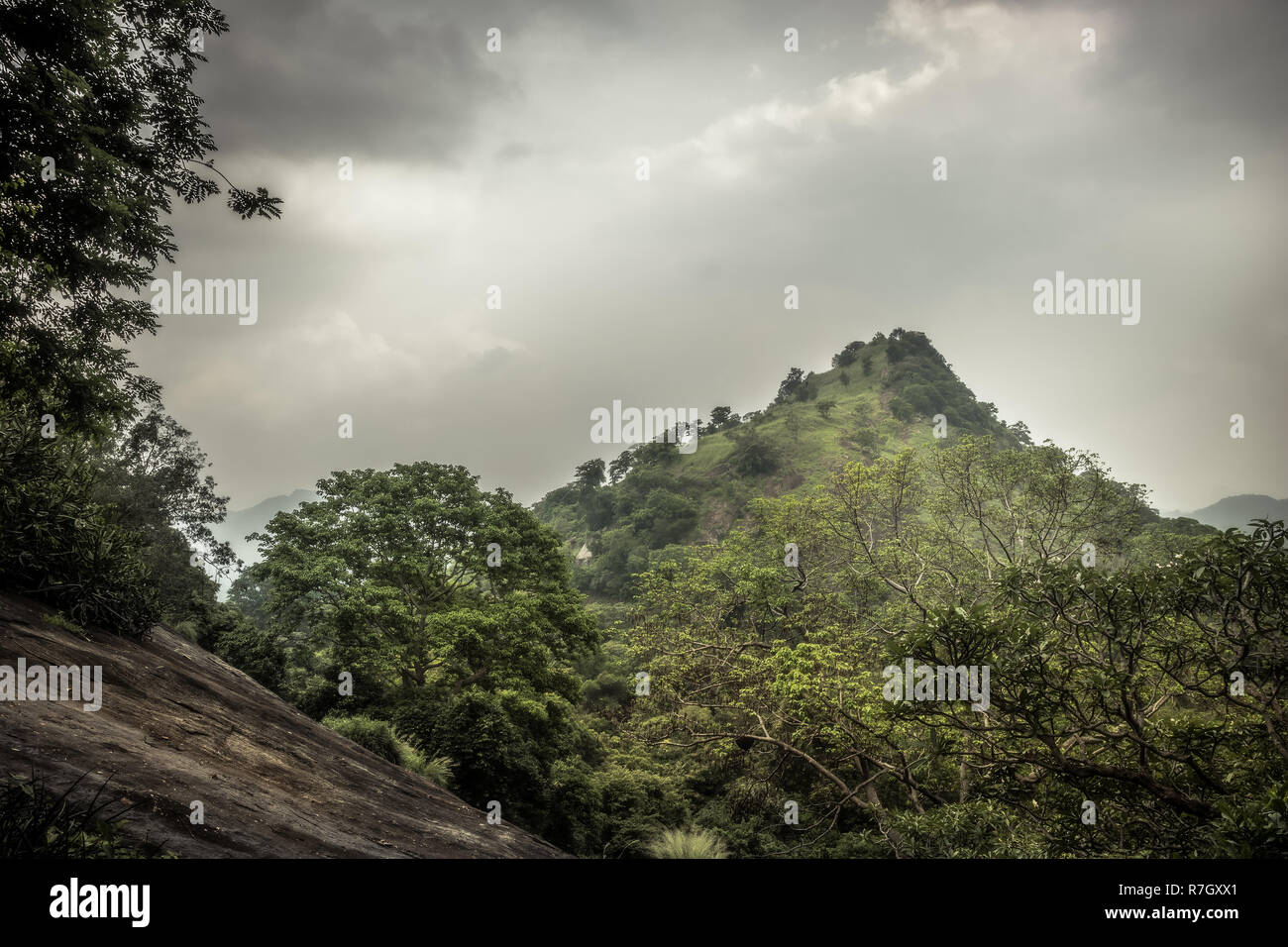 Highlands hill forest scenery landscape with dramatic sky in Asian Sri Lanka Dambulla surroundings Stock Photo