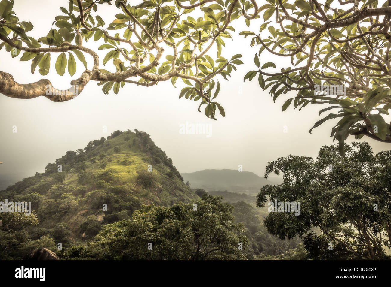 Highlands hill forest landscape with view from the trees in Asia Sri Lanka Dambulla surroundings Stock Photo