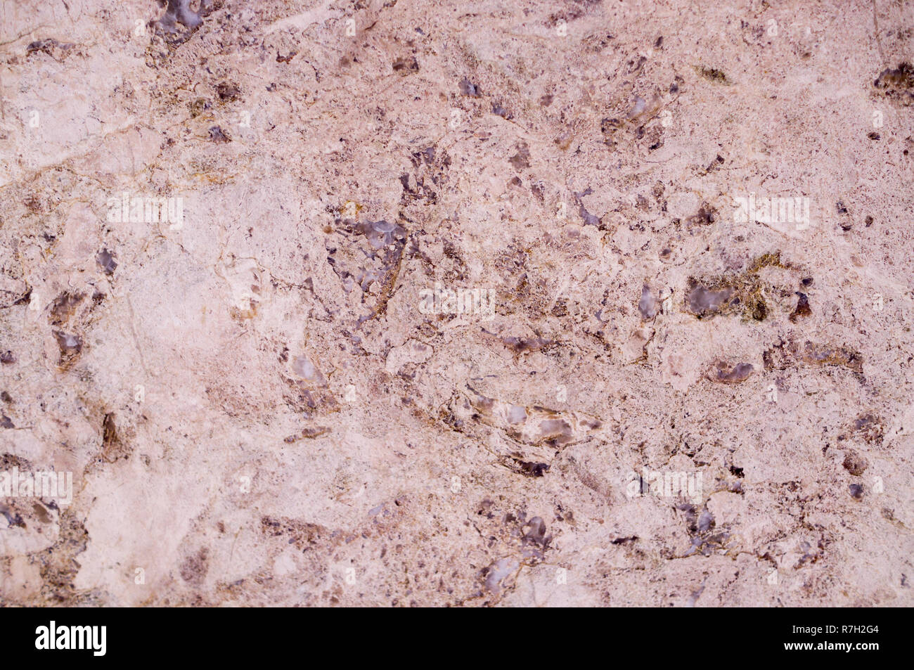 pink marble texture interspersed with quartz. background, geological. Stock Photo