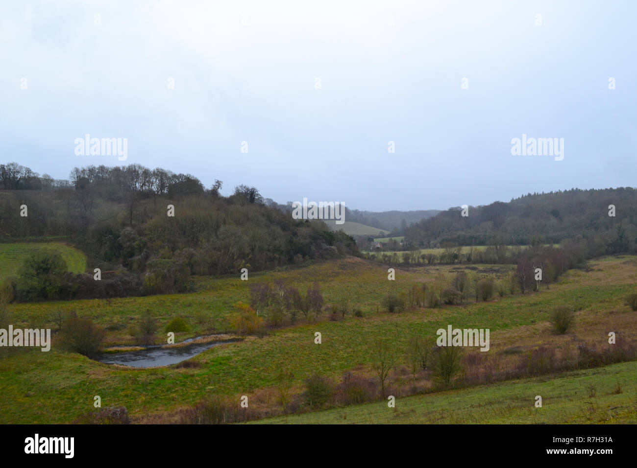 Magpie Bottom, Kent, chalk grassland near Romney St and Shoreham on a rainy day in December. Used to be a golf course, now rewilded SSSI biodiverse Stock Photo