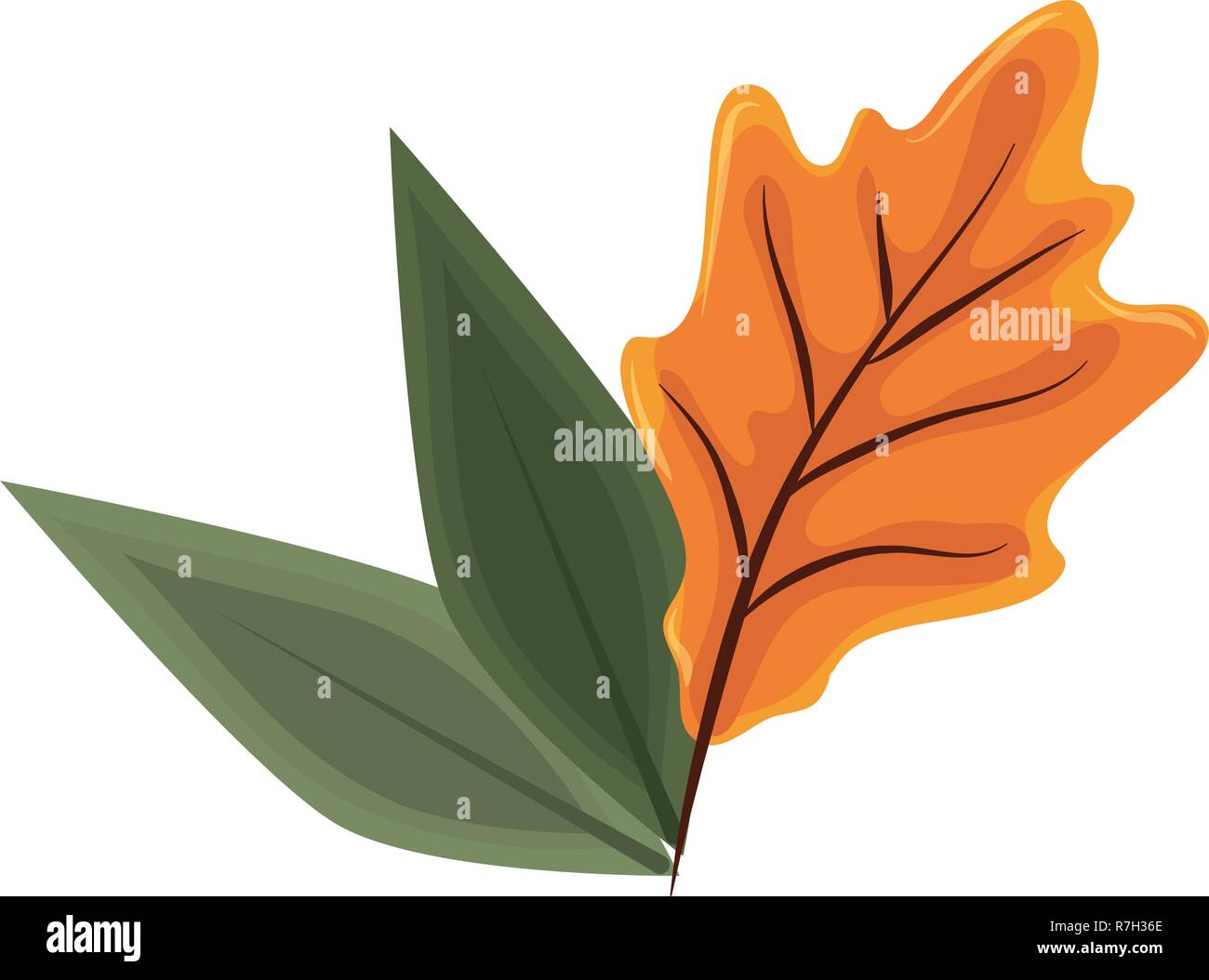 maple leaf icon Stock Vector Image & Art - Alamy