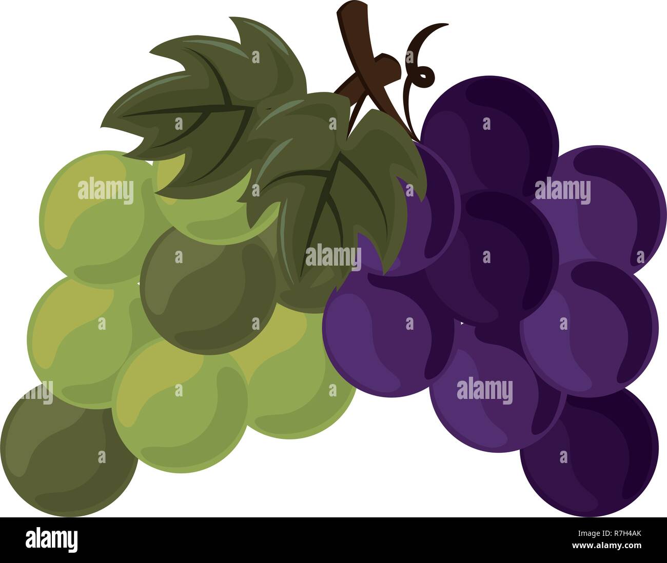 thanksgiving day fruit Stock Vector Image &amp; Art - Alamy