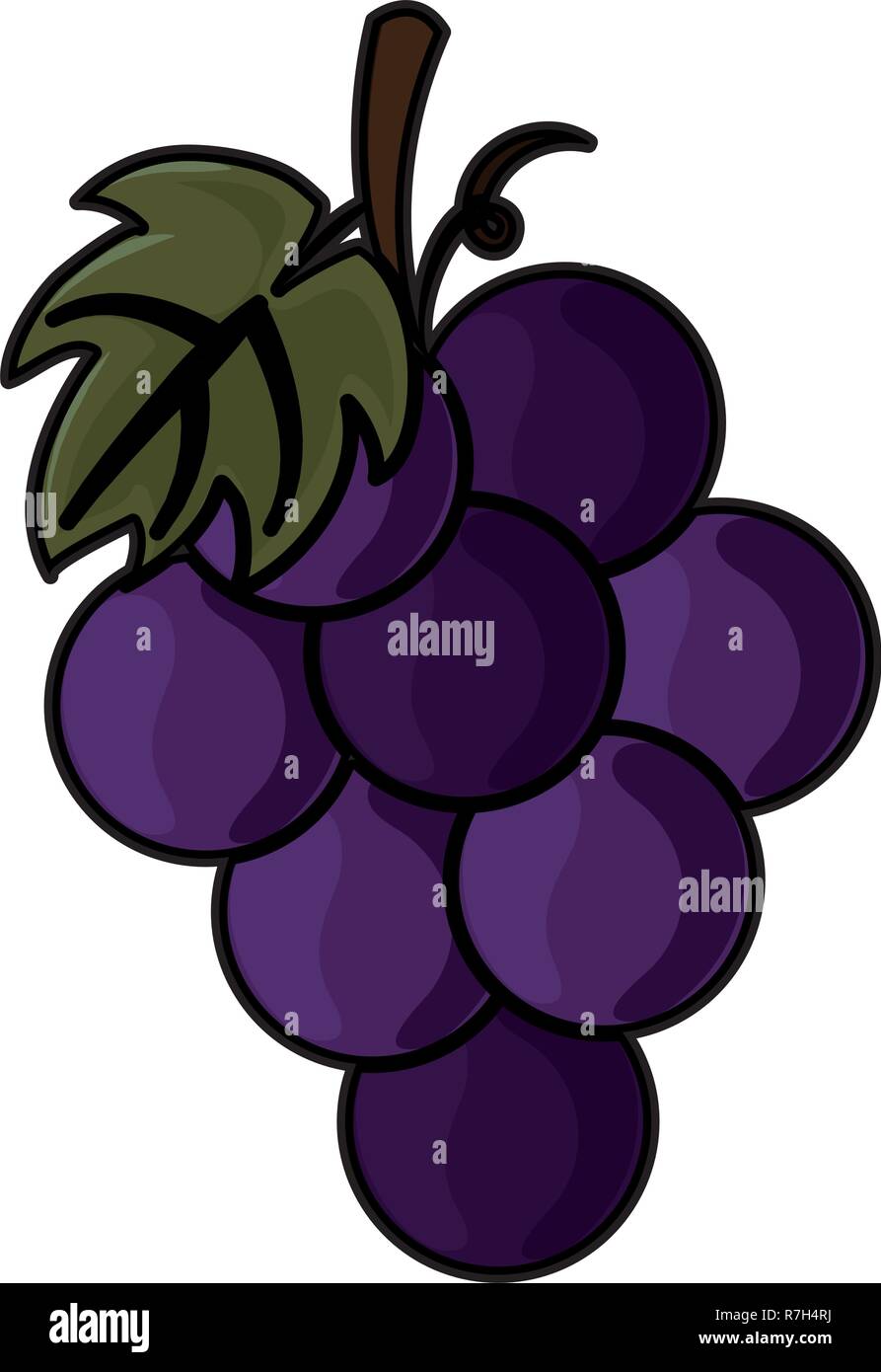 thanksgiving day fruit Stock Vector Image &amp; Art - Alamy