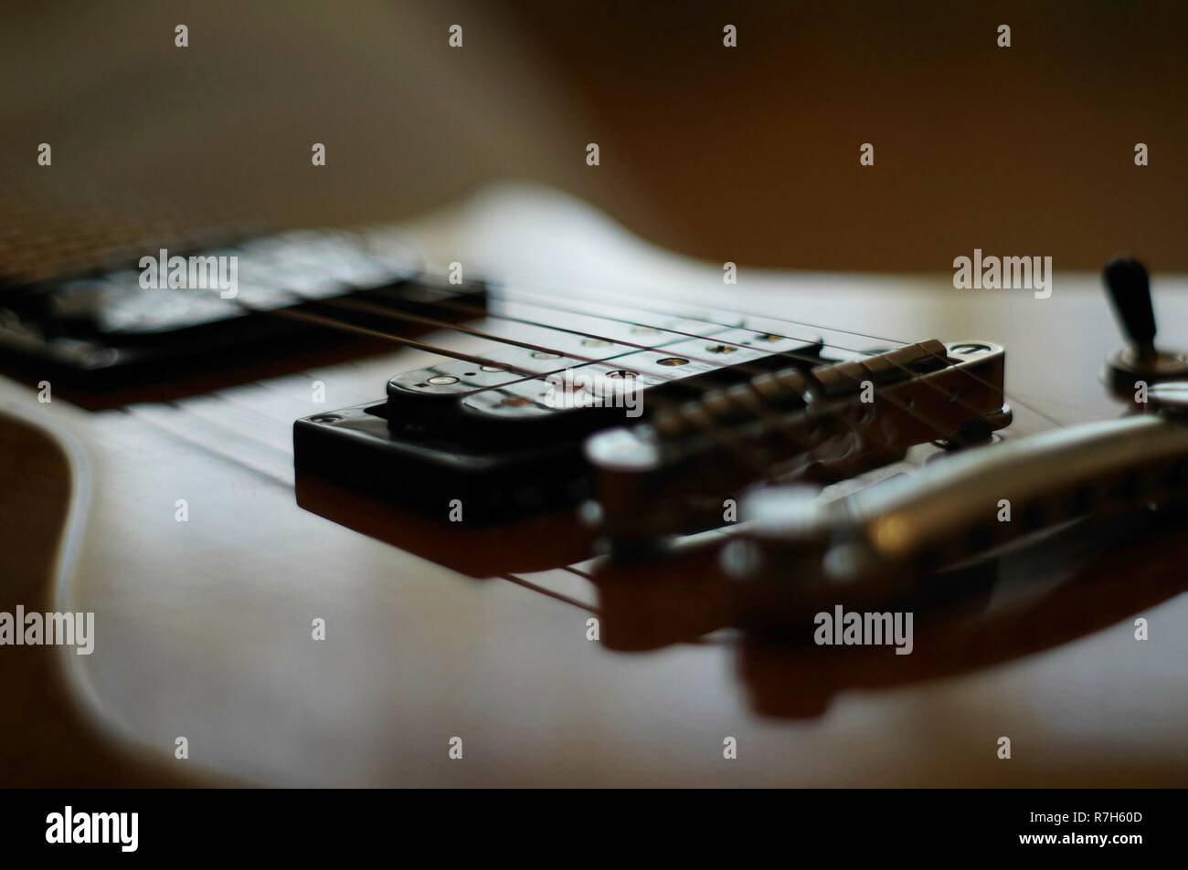 Streams and Bridges. Closeup shot of Washburn Idol WI64 electric