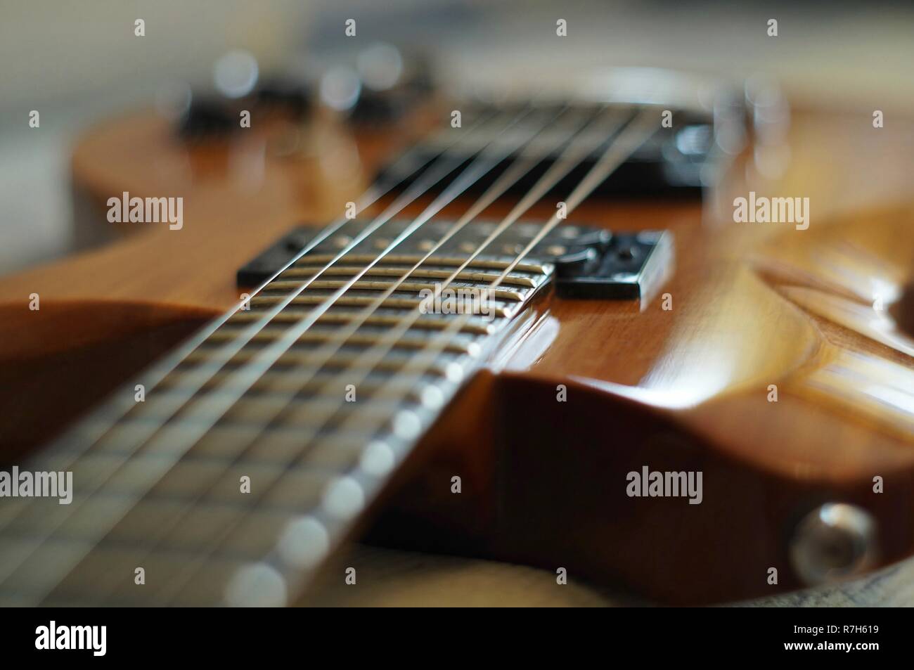 Streams and Bridges. Closeup shot of Washburn Idol WI64 electric