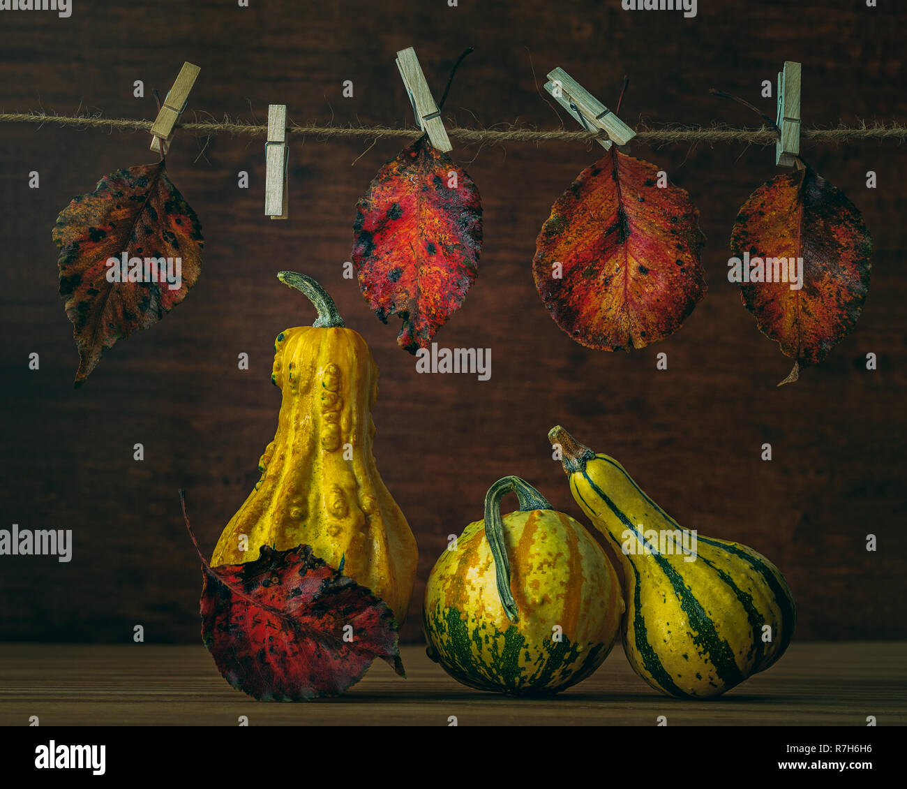 Rustic vector hi-res stock photography and images - Alamy