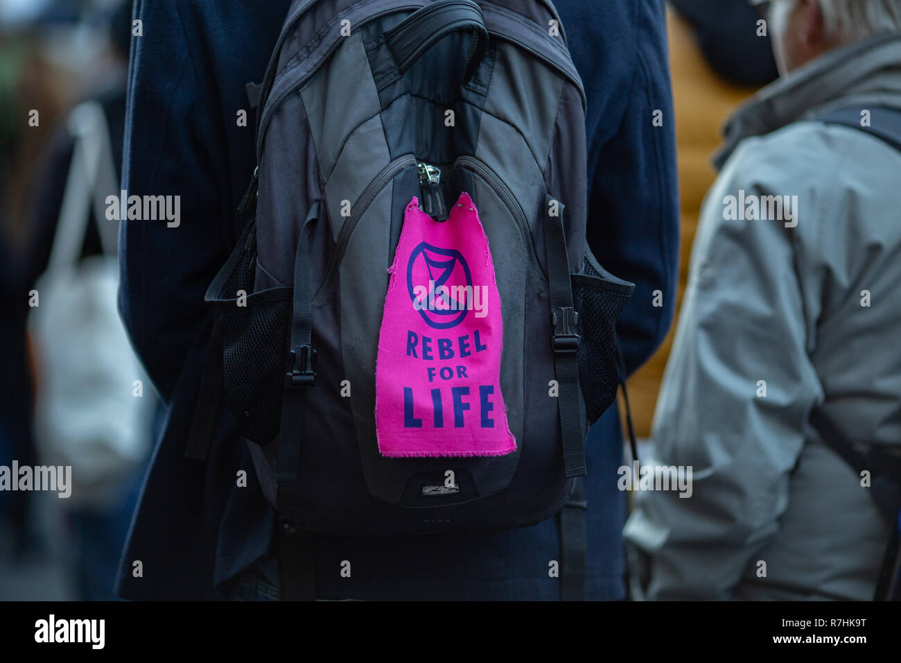 An Anti-Facist demonstrator wearing a 'Rebel For Life' patch on his bag. This patch is associated with the 'Extinction Rebellion' activist group.   3,000 Pro-Brexit demonstrators and 15,000 Anti-Facist counter demonstrators took to the streets of London to voice their stance on the deal ahead of the key Brexit vote in parliament this Tuesday. Stock Photo