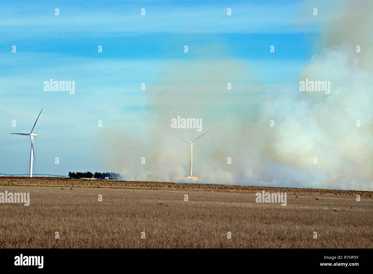 Cattle Trailer Usa High Resolution Stock Photography And Images Alamy