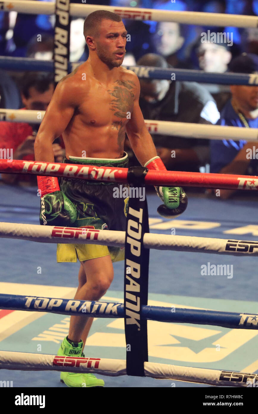 Lightweight world champion Vasiliy Lomachenko of Ukraine (green trunks) in action during title unification fight against Jose Pedraza Stock Photo