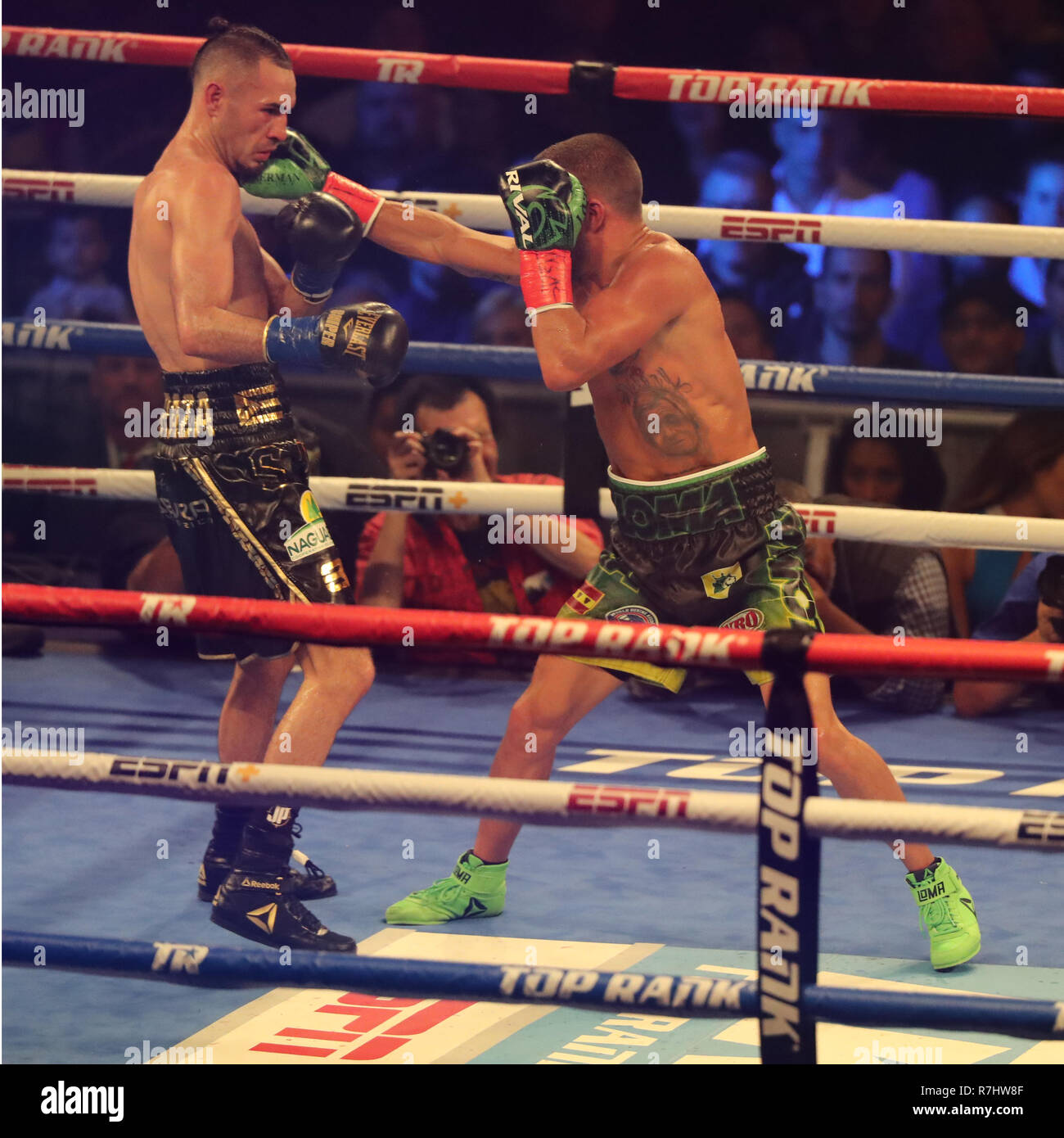 Lightweight world champion Vasiliy Lomachenko of Ukraine (green trunks) in action during title unification fight against Jose Pedraza Stock Photo