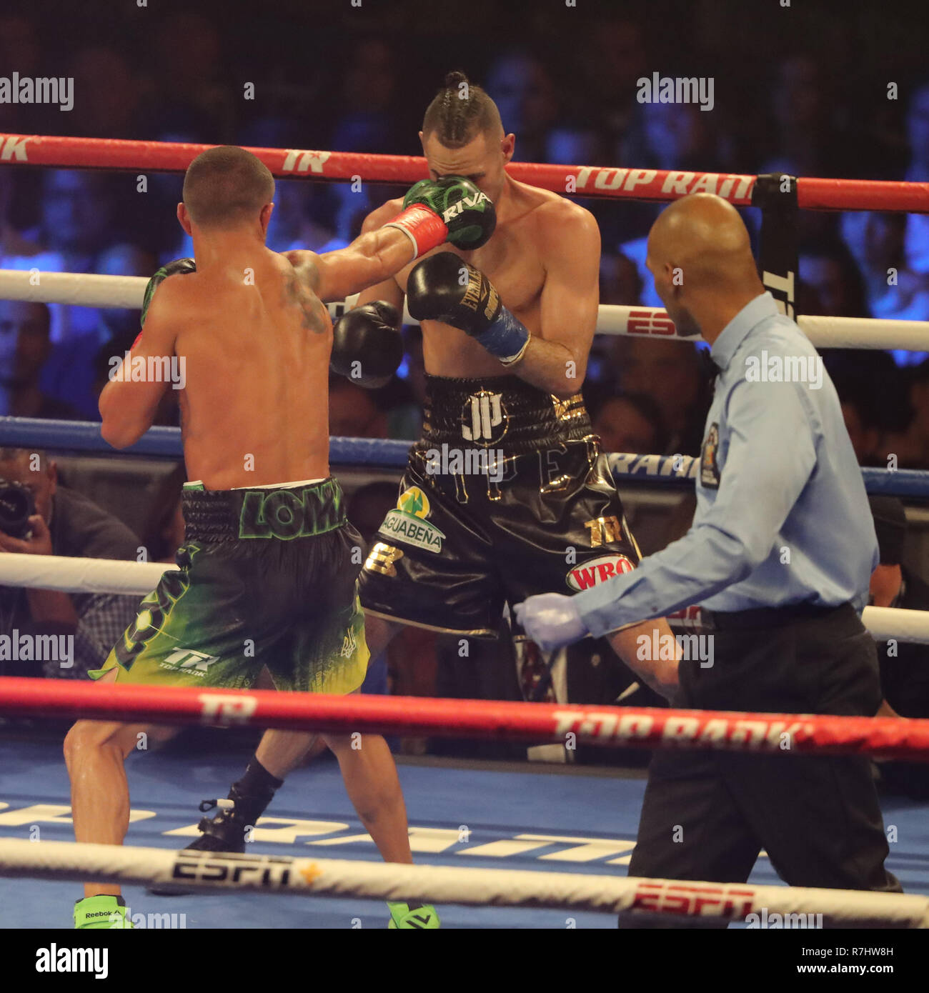 lomachenko reebok