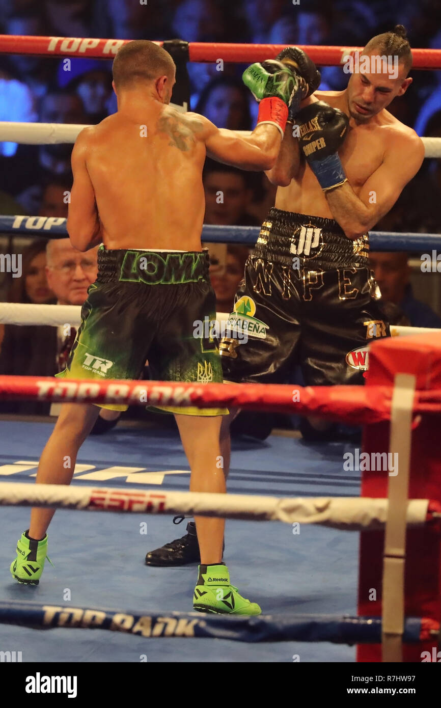 Lightweight world champion Vasiliy Lomachenko of Ukraine (green trunks