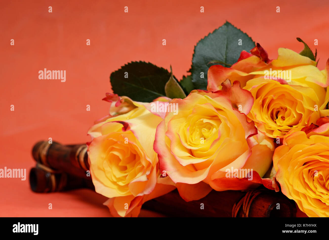 Orange background with yellow roses Stock Photo - Alamy