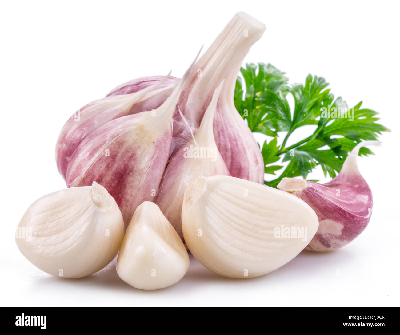 Garlic bulb and garlic cloves isolated on white background Stock Photo ...