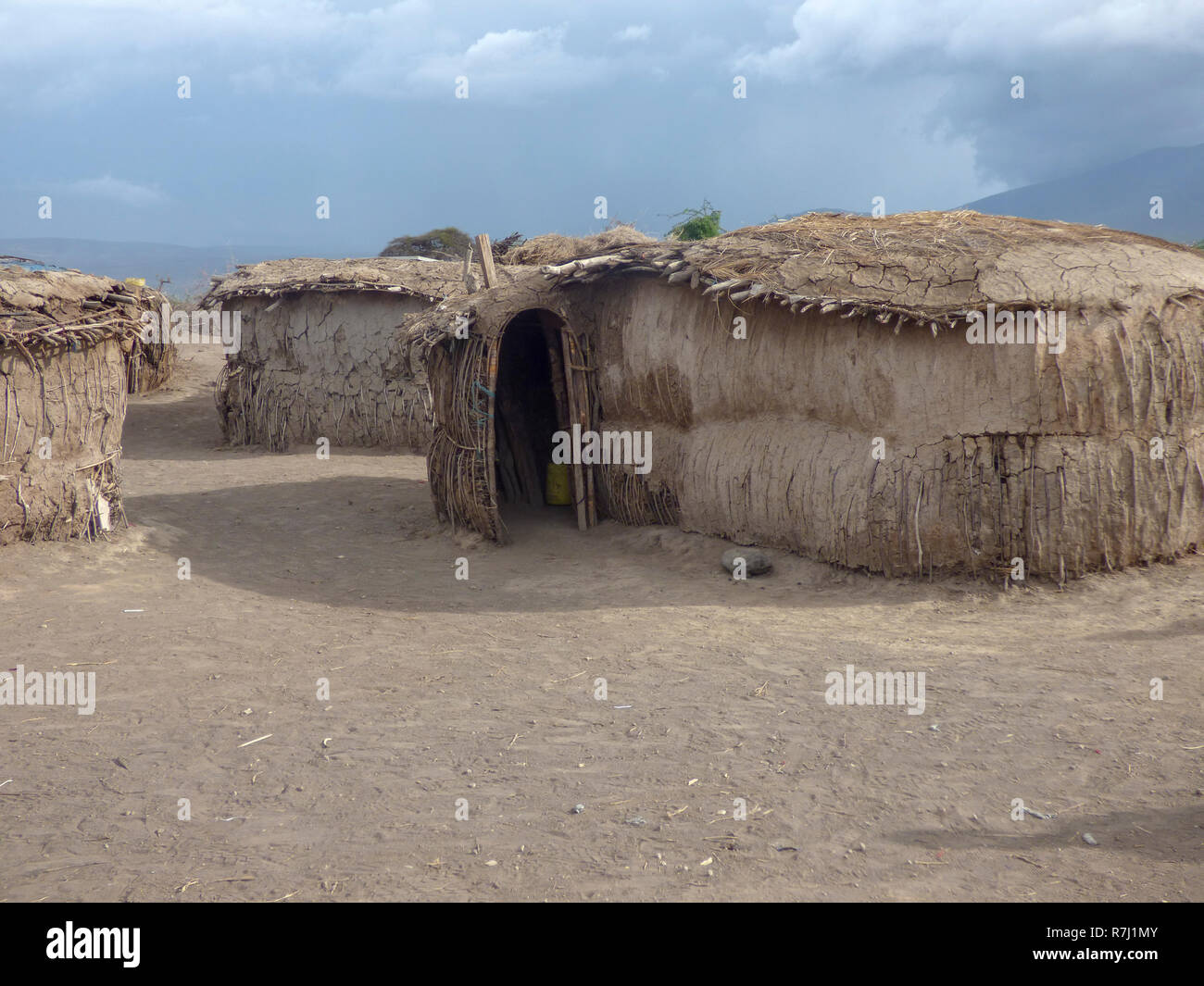 Africa, Tanzania, mud and straw dwelling in a  Maasai tribe village an ethnic group of semi-nomadic people Stock Photo