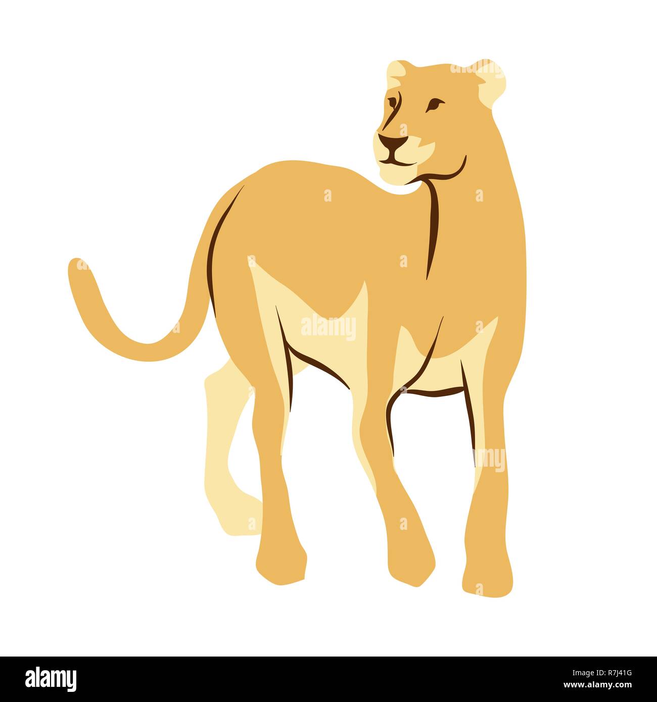Stylized illustration of lioness Stock Vector Image & Art - Alamy