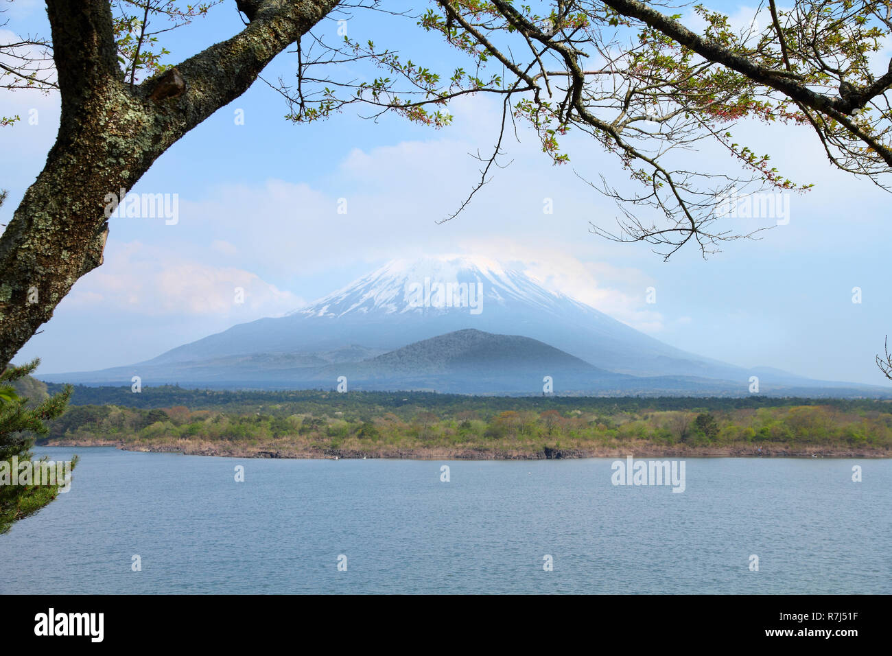Japan landscape with Mount Fuji - Lake Shoji (Shojiko) and the ...