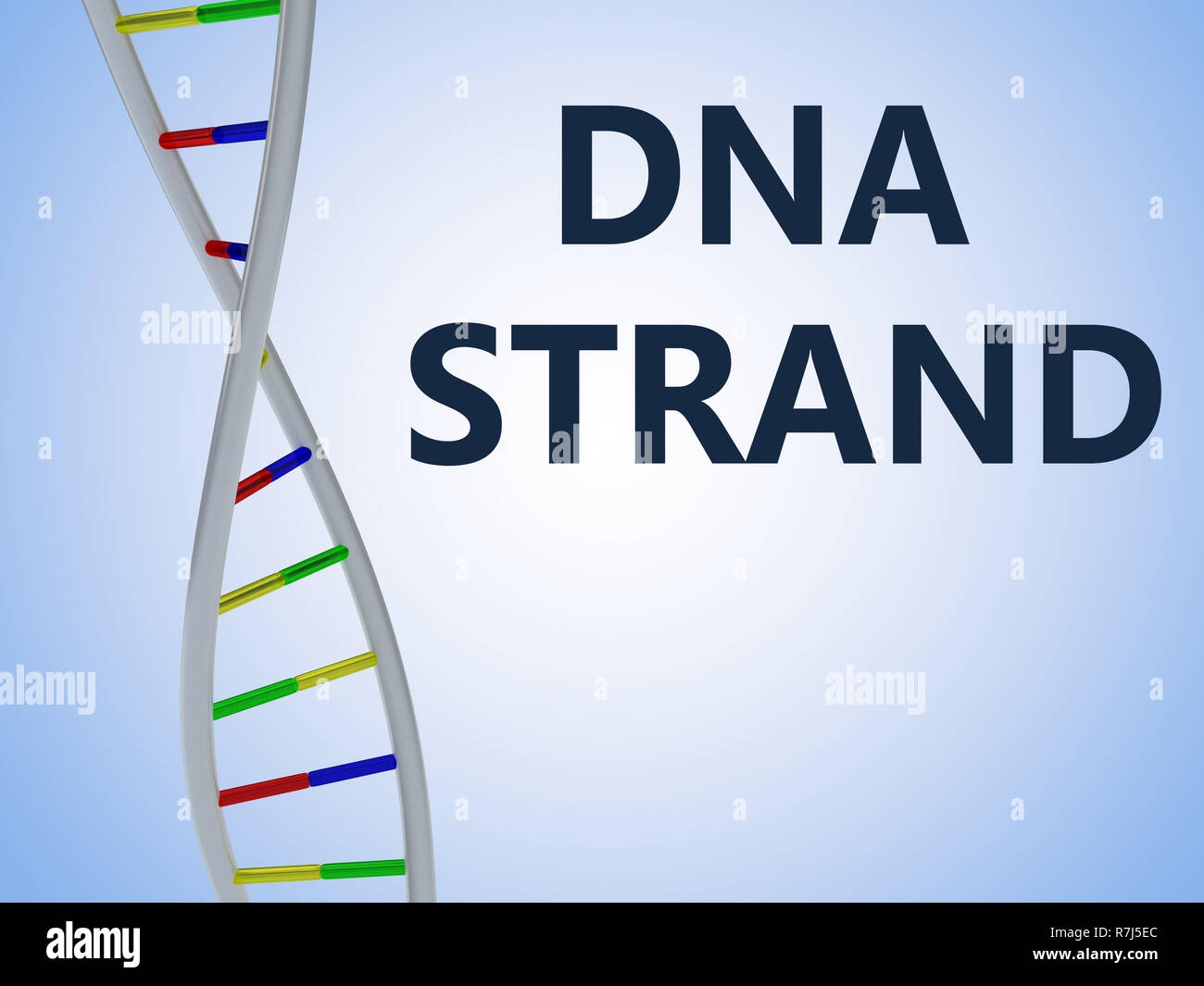 3D illustration of DNA STRAND script with DNA double helix , isolated ...