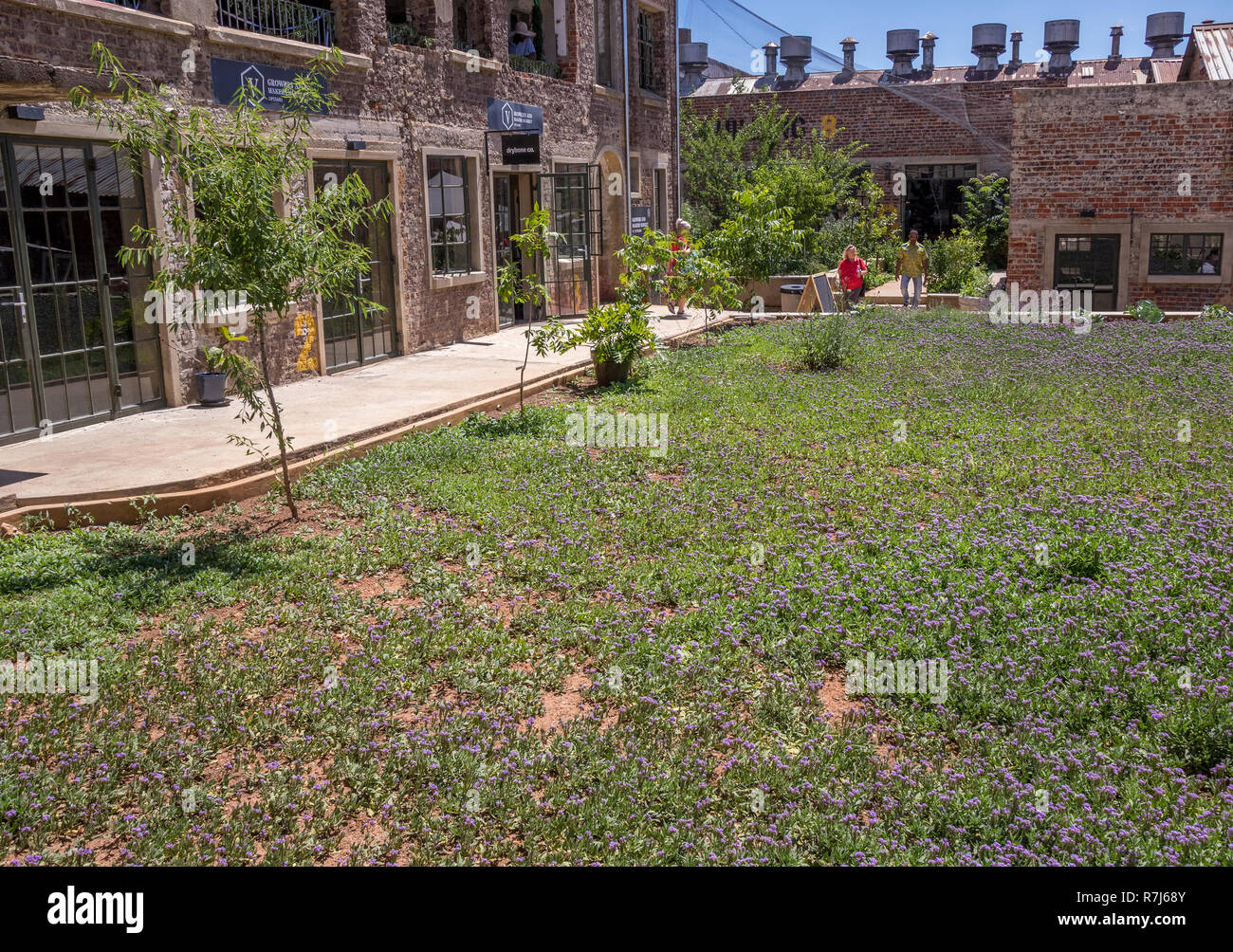 Johannesburg, South Africa - The Victoria Yards in Bertrams drive an urban agricultural project for job creation and money generation Stock Photo