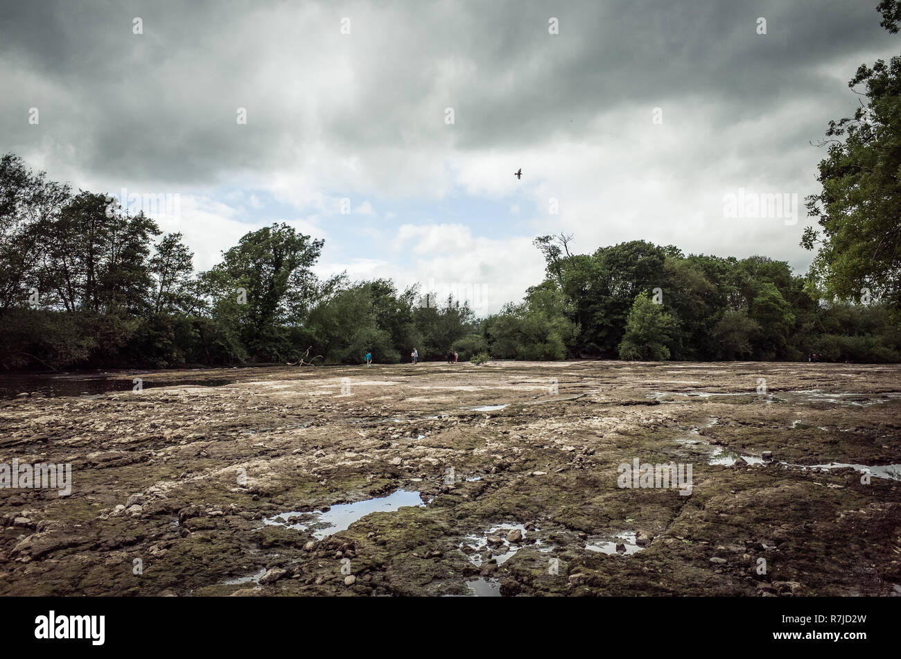 River Wye drought Stock Photo