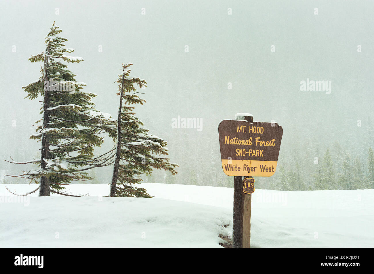 Government Camp, Oregon, USA February 18, 2016 Fine falling snow