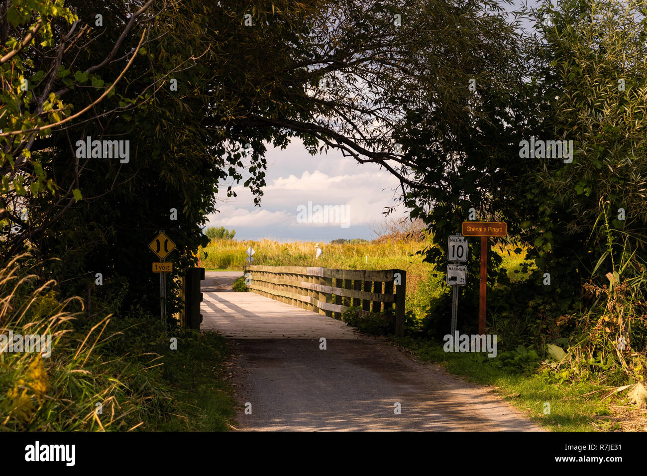 A wooden bridge at the IlesdeBoucherville National Park in Quebec
