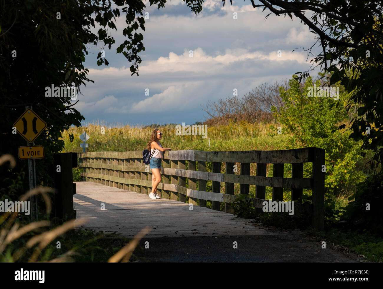 A wooden bridge at the IlesdeBoucherville National Park in Quebec
