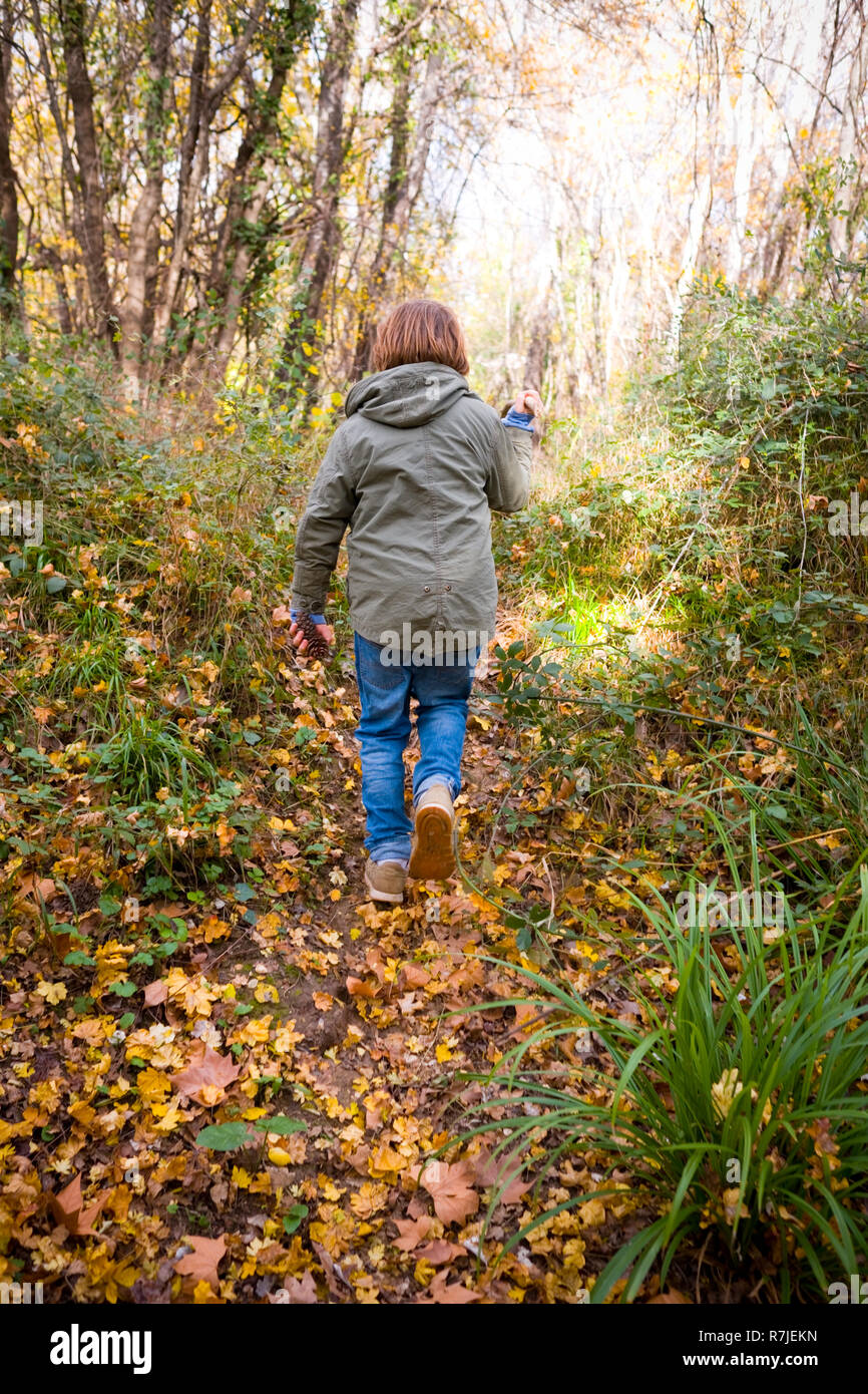 rear view of 11 year old boy with khaki hooded coat and jeans walking down a leafy path in a wood in Autumn, france Stock Photo