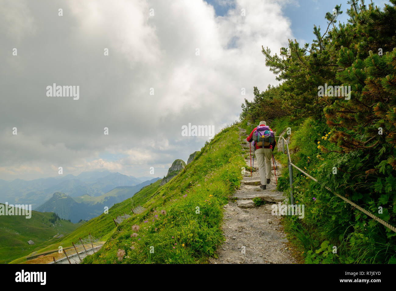 People hiking in Switzerland Alps at sunny day Stock Photo - Alamy