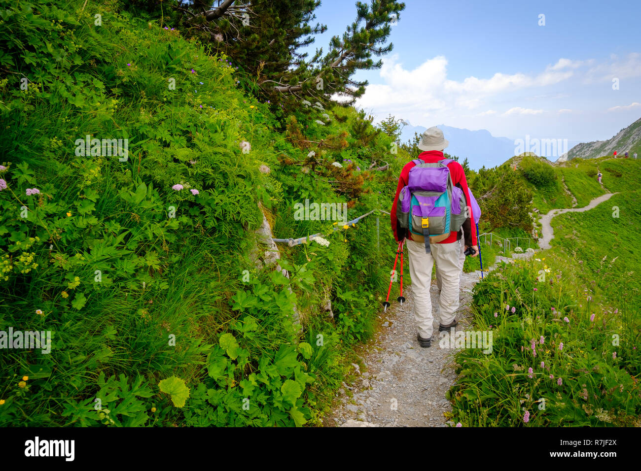 People hiking in Switzerland Alps at sunny day Stock Photo - Alamy