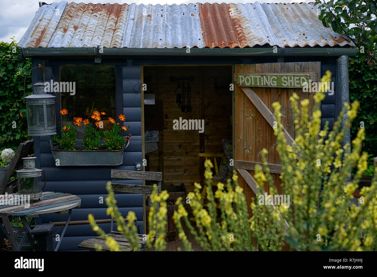 wooden, garden ,shed, gardens, gardening, blue,navy, wood, hut,attractive,garden feature,potting shed,RM Floral Stock Photo