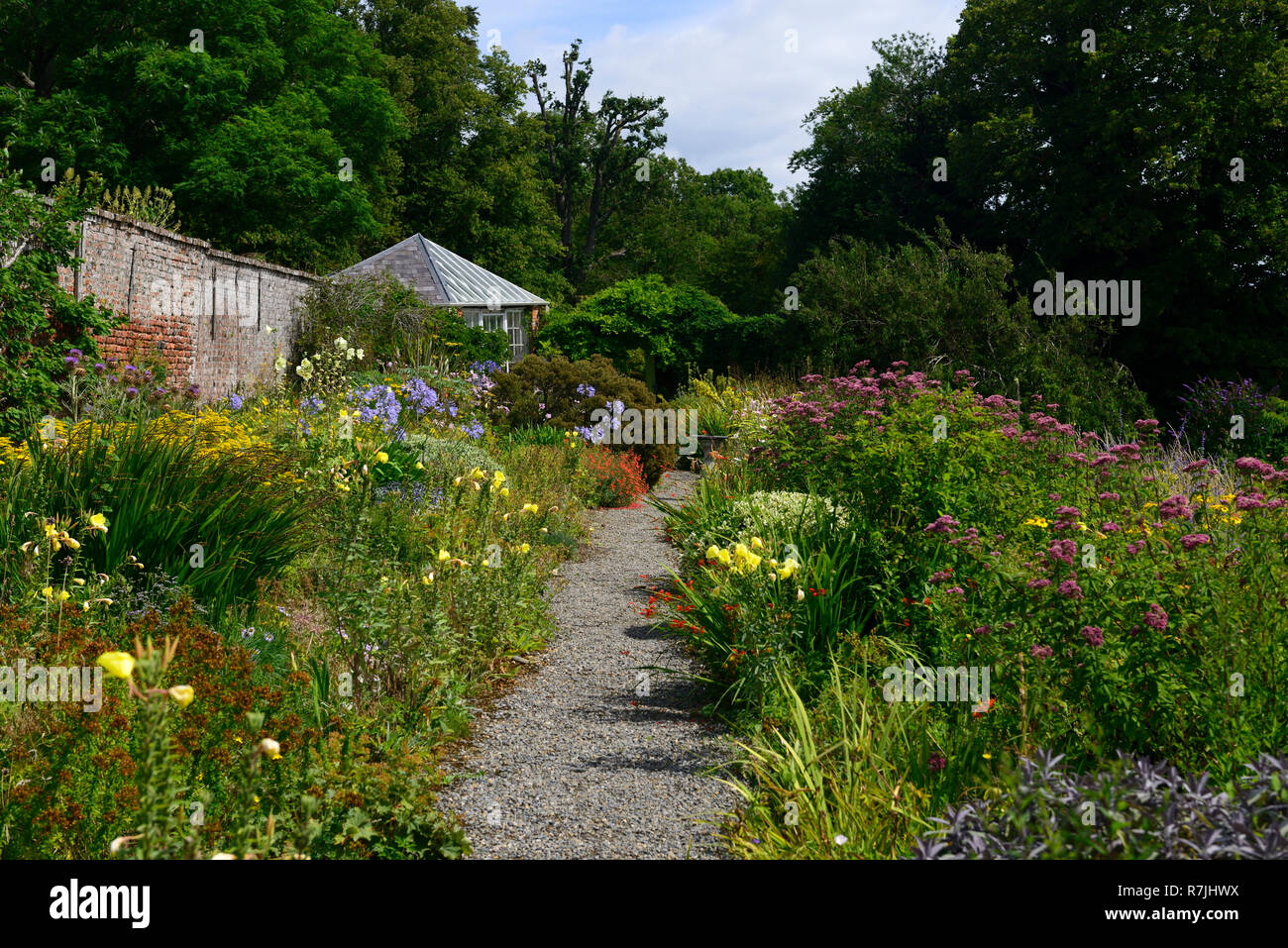 Walled garden,rustic red brick wall,conservatory,glass house,flowers,flowering,mix,mixed,bed,border,path,pathway,beaulieu house and gardens,drogheda,l Stock Photo