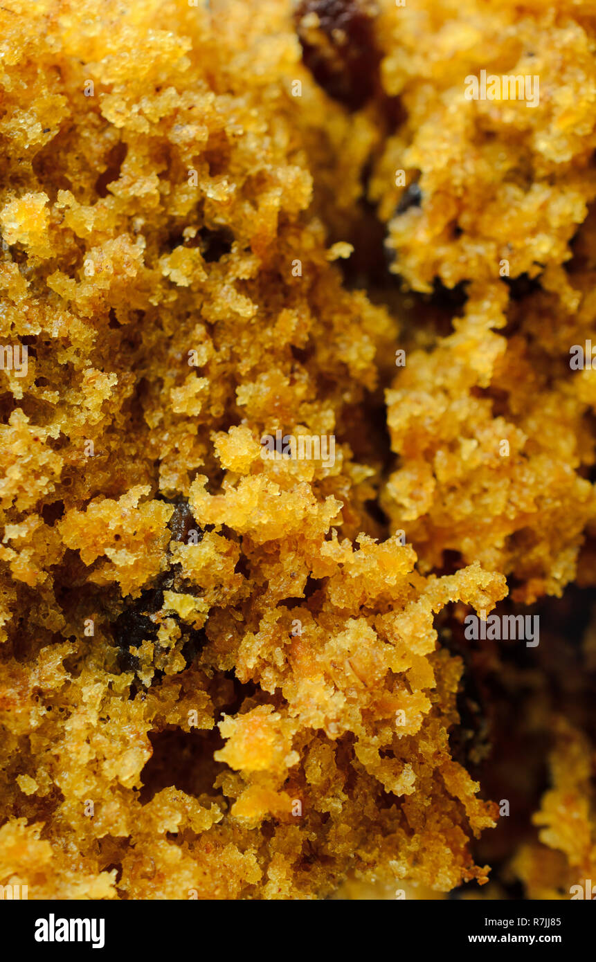 Food Background. Close up (macro) of crumbly carrot and raisin cake texture. Stock Photo