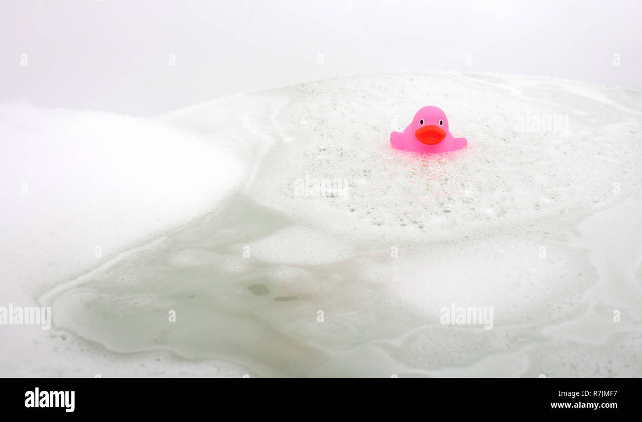 Pink duck in a bathtub, surrounded by soap Stock Photo Alamy