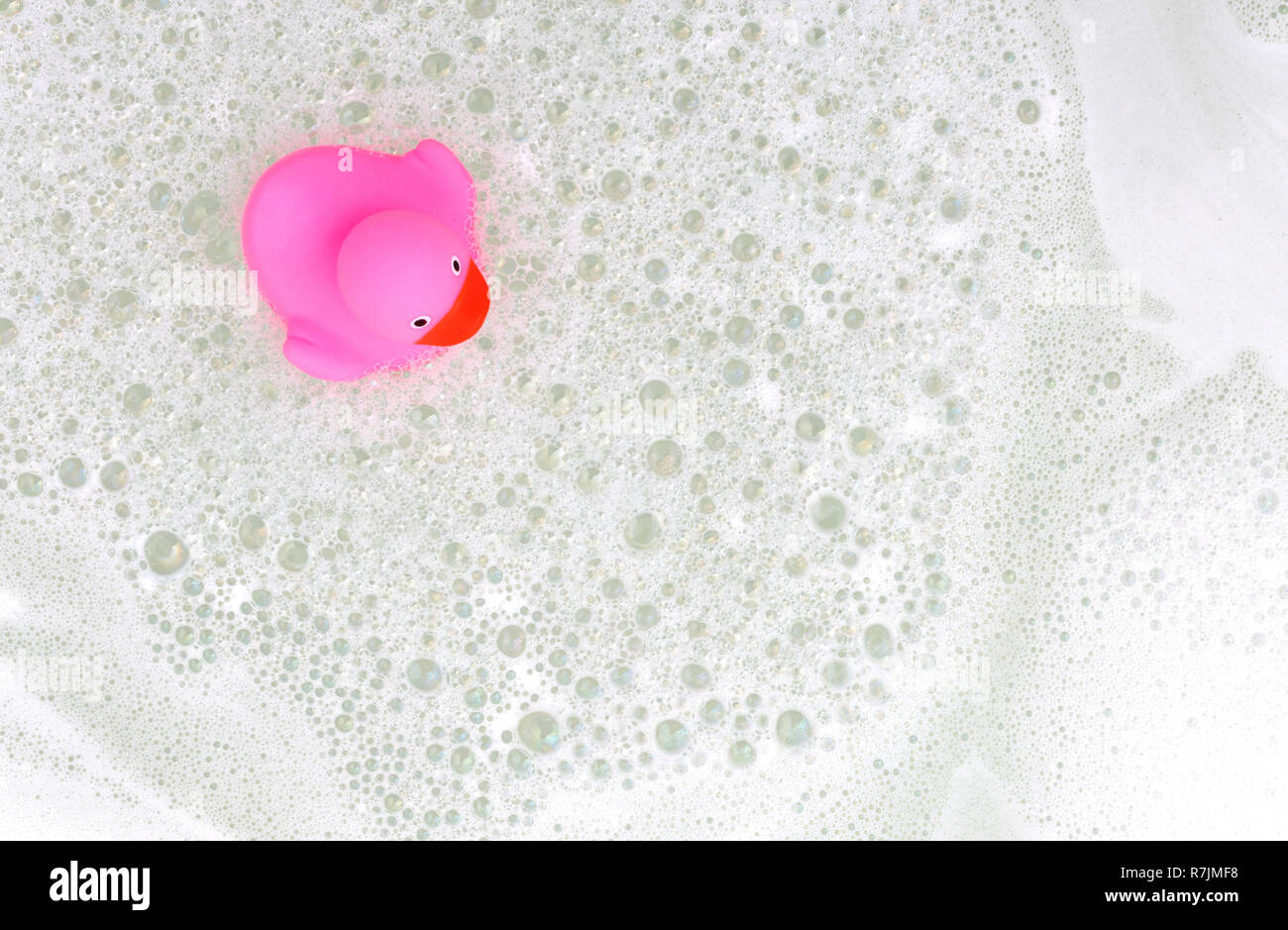 Pink duck in a bathtub, surrounded by soap Stock Photo - Alamy
