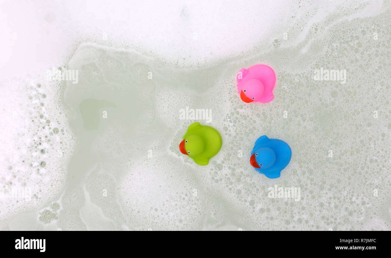 Pink, green and blue duck in a bathtub, surrounded by soap Stock Photo ...
